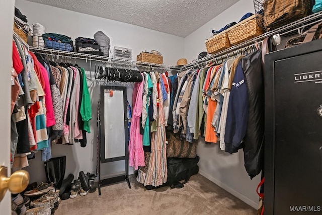 spacious closet with carpet