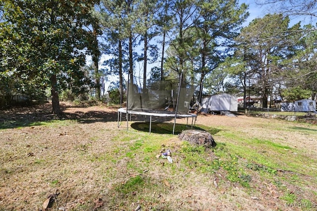 view of yard featuring a storage shed, an outbuilding, and a trampoline