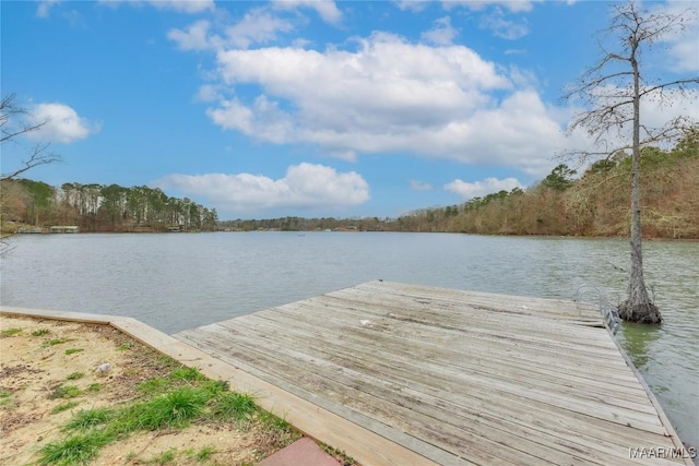 dock area with a water view