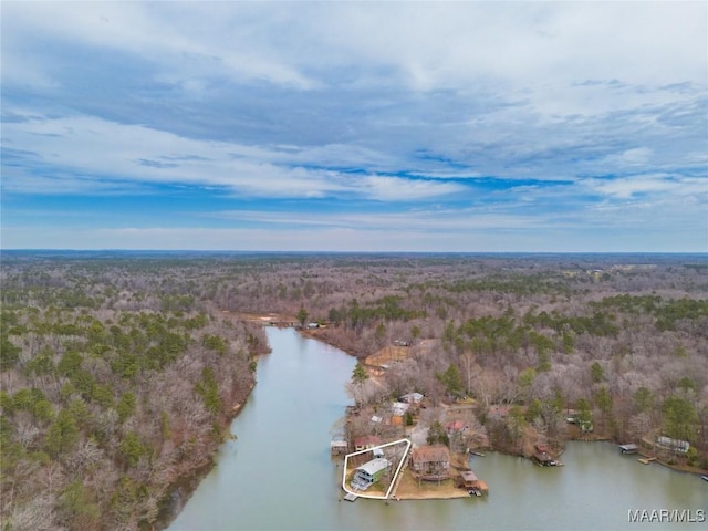 bird's eye view featuring a water view and a wooded view