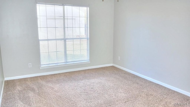 unfurnished room featuring carpet, baseboards, and a healthy amount of sunlight