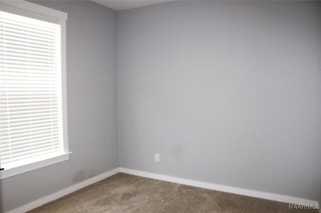 carpeted empty room with baseboards