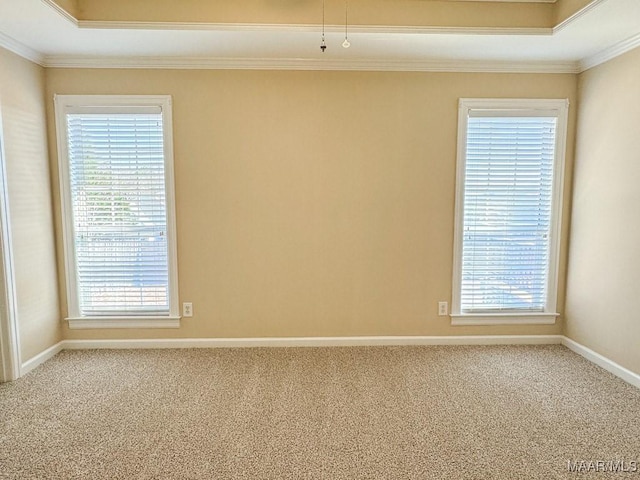 spare room featuring a healthy amount of sunlight, ornamental molding, and carpet flooring