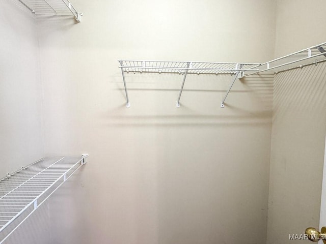 view of spacious closet