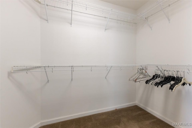 spacious closet featuring dark carpet