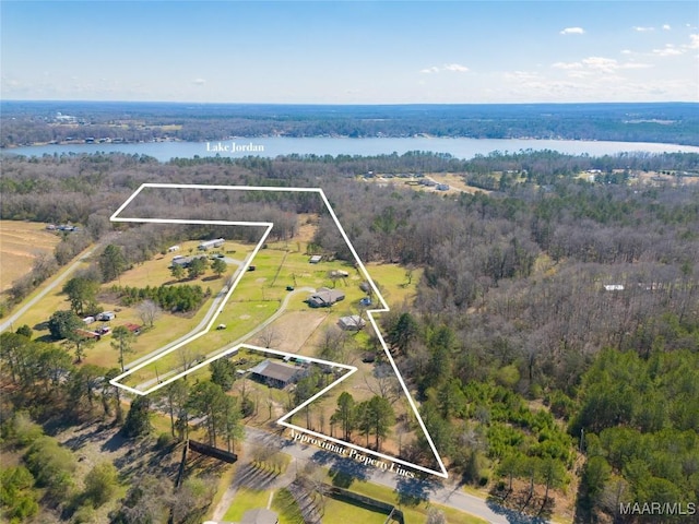 drone / aerial view featuring a forest view and a water view