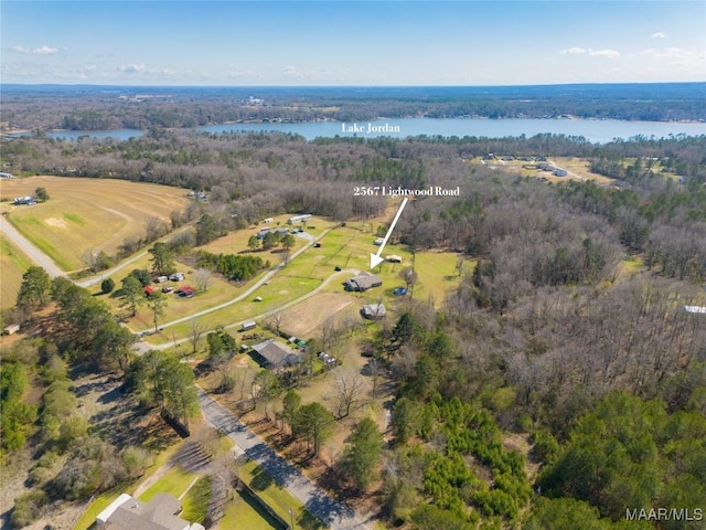 drone / aerial view featuring a forest view and a water view