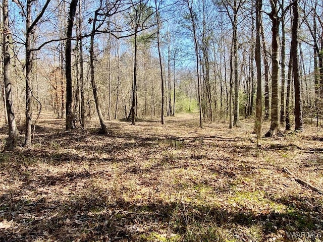 view of landscape featuring a view of trees