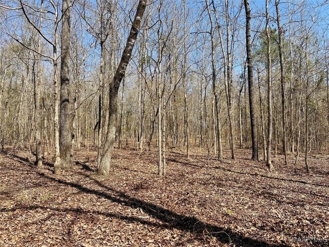 view of nature with a view of trees