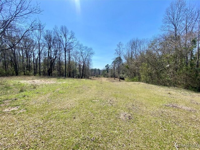 view of yard with a wooded view