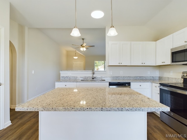 kitchen with stainless steel appliances, lofted ceiling, a ceiling fan, and a sink