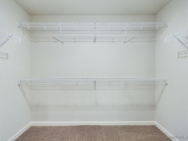 walk in closet with carpet