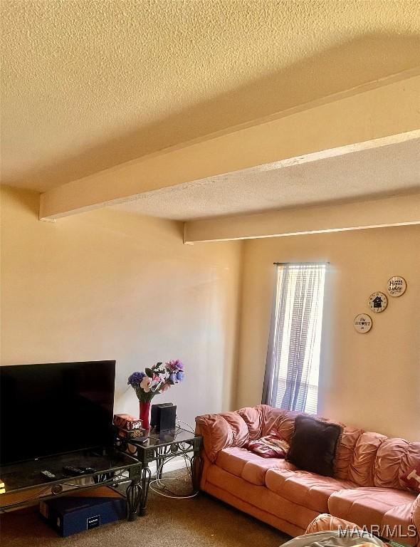 5531 E Shades Valley Dr, Montgomery, AL 36108 - carpeted living room with beam ceiling and a textured ceiling