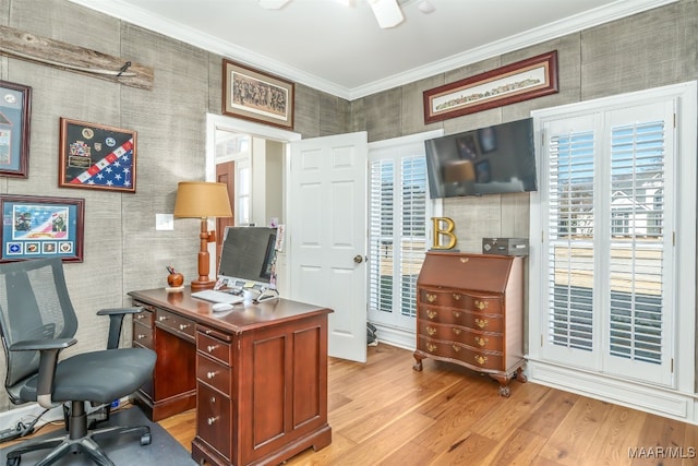 office area with ceiling fan, plenty of natural light, ornamental molding, and light wood finished floors