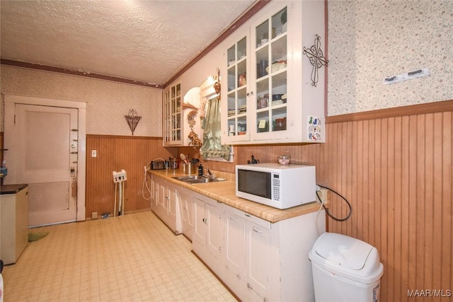 141 S Central Ave, Alexander City, AL 35010 - kitchen with a sink, a wainscoted wall, white microwave, and a textured ceiling