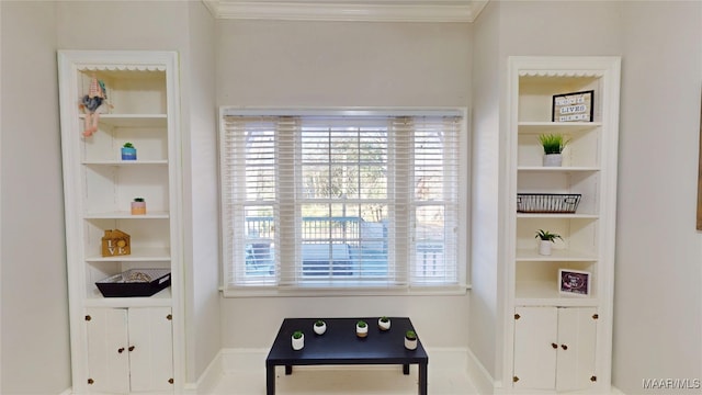 game room with built in features and crown molding