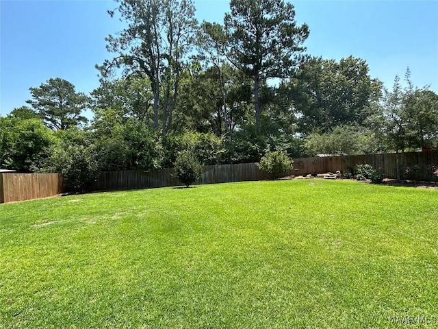 view of yard with a fenced backyard