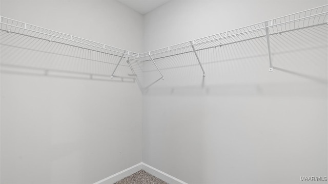 3140 Knotts Dr, Montgomery, AL 36116 - walk in closet featuring carpet floors