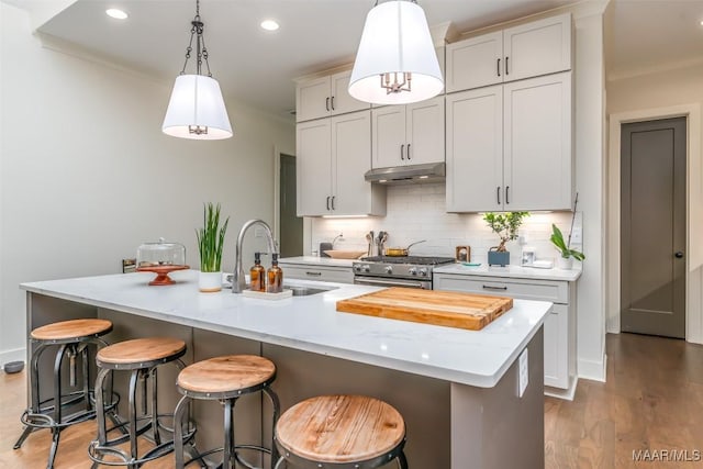 kitchen with a breakfast bar area, a sink, decorative backsplash, stainless steel range, and under cabinet range hood