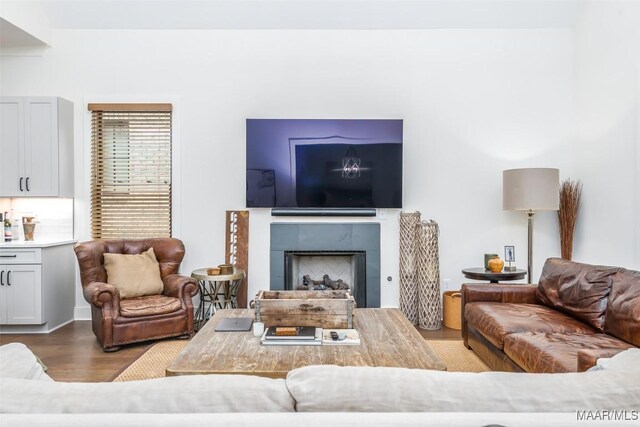 living room with a fireplace and wood finished floors