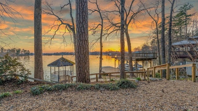 dock area with a water view