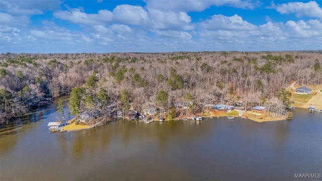 drone / aerial view featuring a view of trees and a water view