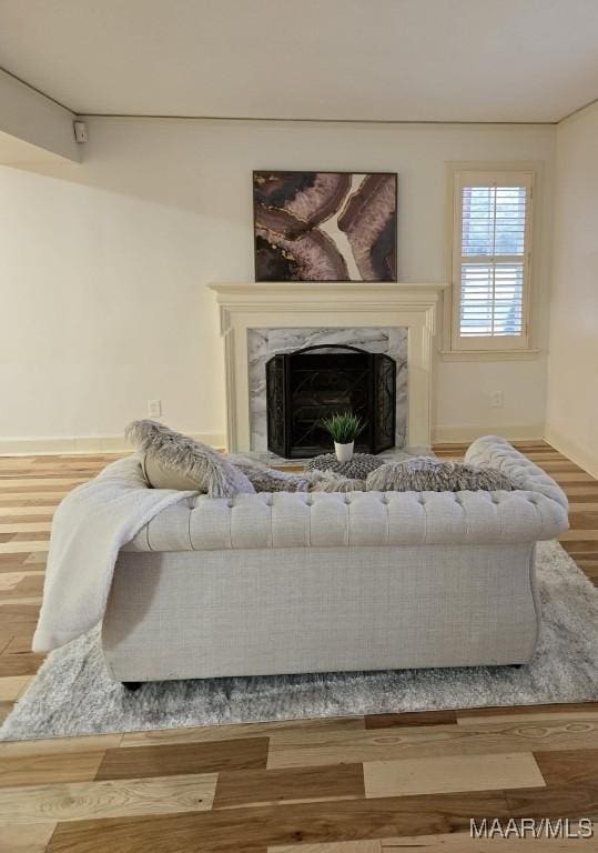 living area featuring a fireplace and wood finished floors