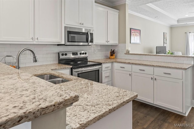 kitchen with a tray ceiling, stainless steel appliances, a peninsula, crown molding, and dark wood-style flooring