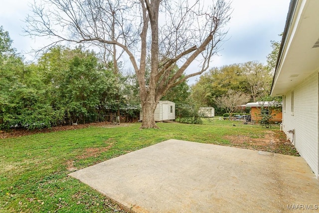 view of yard with a patio area, a shed, and an outdoor structure
