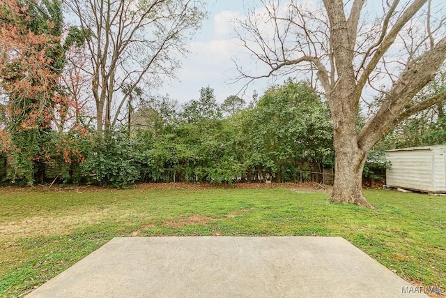 view of yard featuring a storage unit, a patio, and an outdoor structure