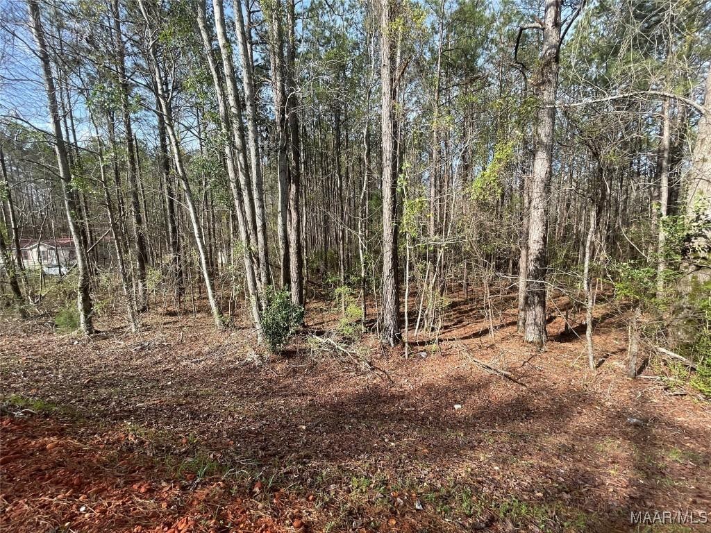 001 Robinson Rd, Eclectic, AL 36024