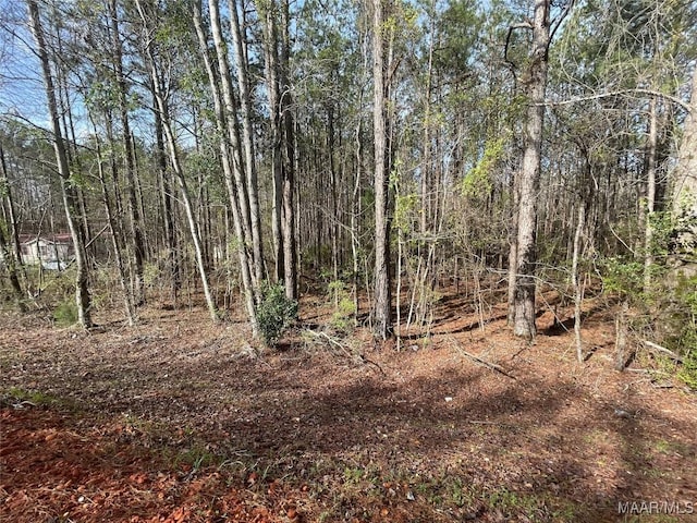 001 Robinson Rd, Eclectic, AL 36024