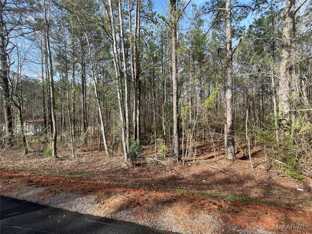 001 Robinson Rd, Eclectic, AL 36024