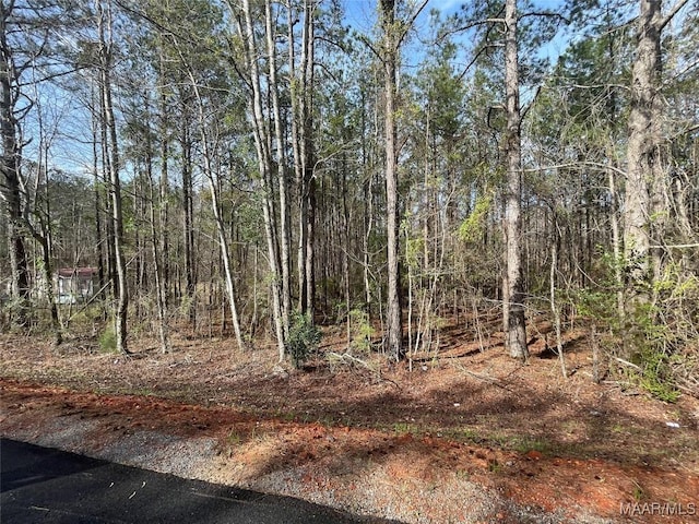 001 Robinson Rd, Eclectic, AL 36024