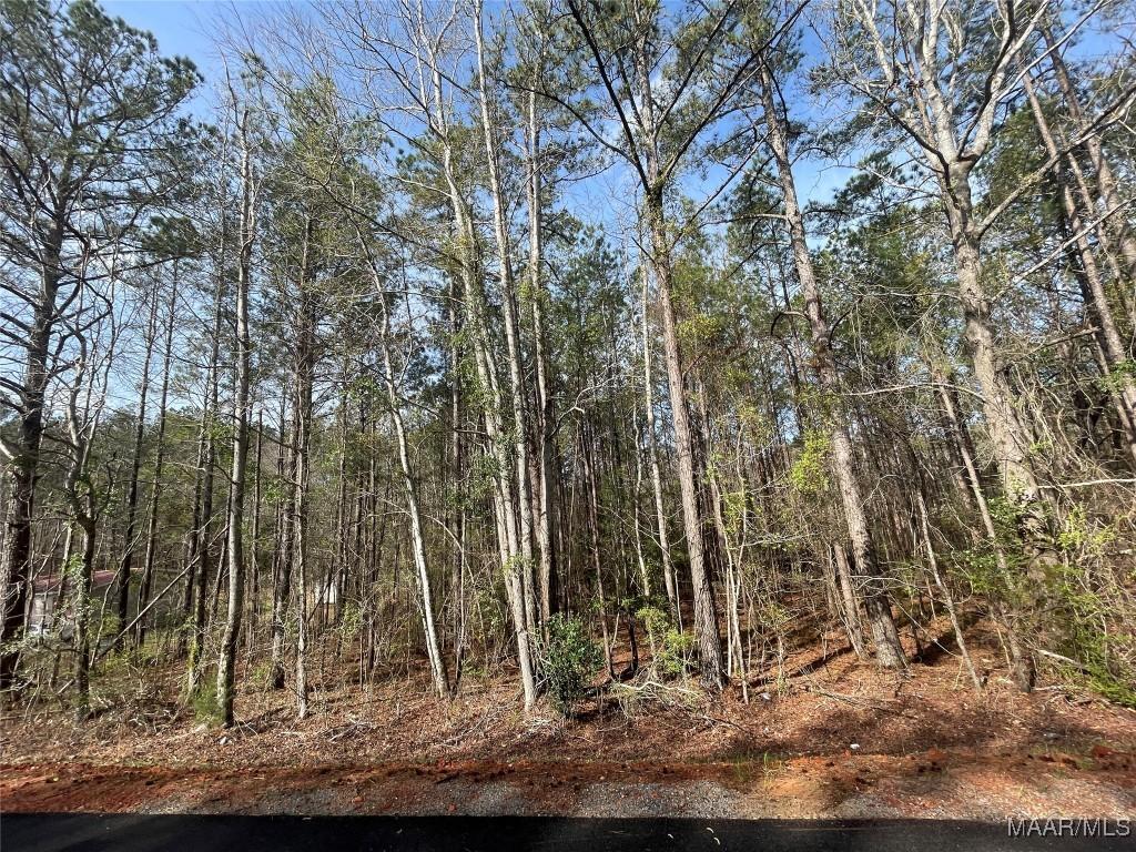 001 Robinson Rd, Eclectic, AL 36024