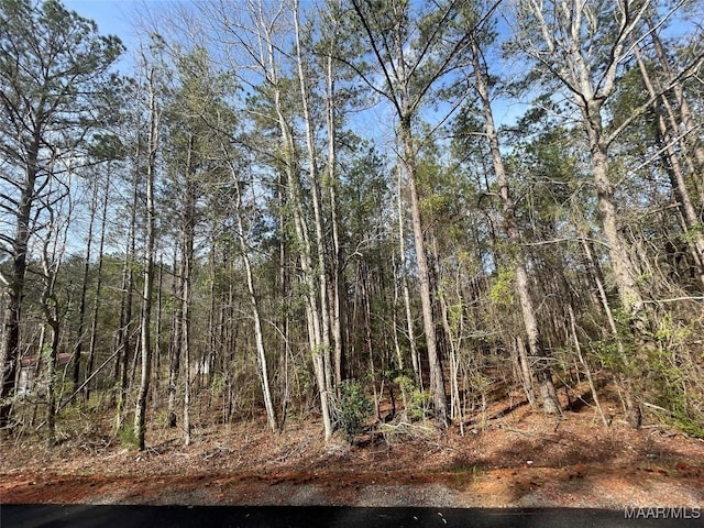 001 Robinson Rd, Eclectic, AL 36024