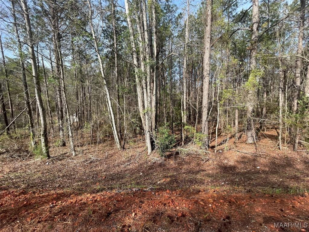 001 Robinson Rd, Eclectic, AL 36024