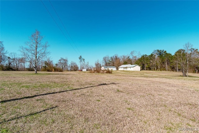 25882 Troy Hwy, Grady, AL 36036 - view of yard