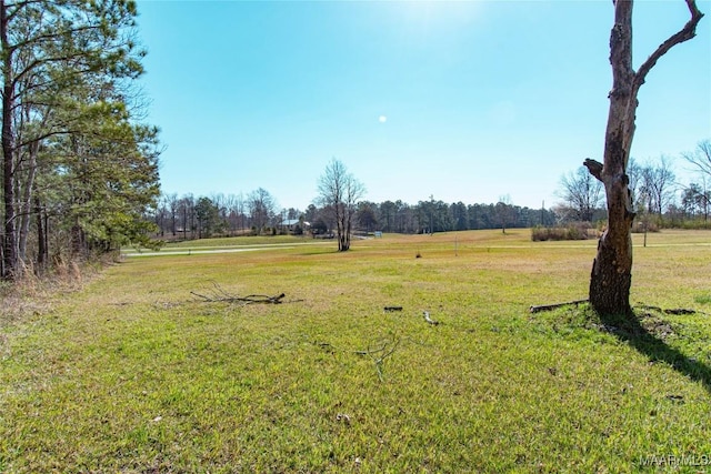 25882 Troy Hwy, Grady, AL 36036 - view of yard
