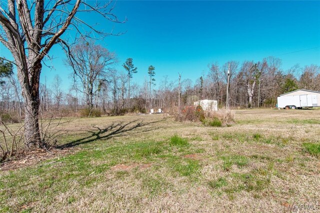 25882 Troy Hwy, Grady, AL 36036 - view of yard