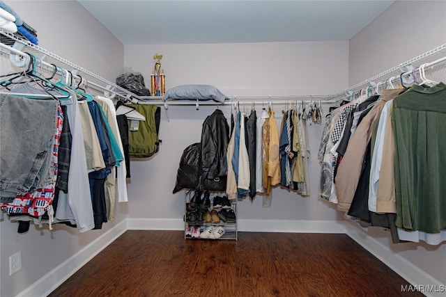 25882 Troy Hwy, Grady, AL 36036 - walk in closet featuring wood finished floors