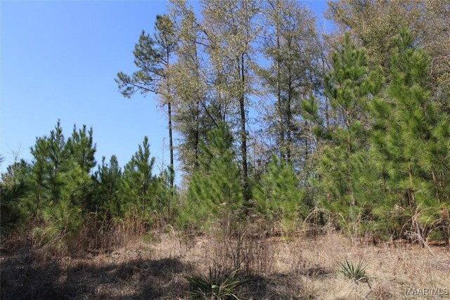 0 Toles Rd Unit Parcel 1, Grady, AL 36036 - photo 1
