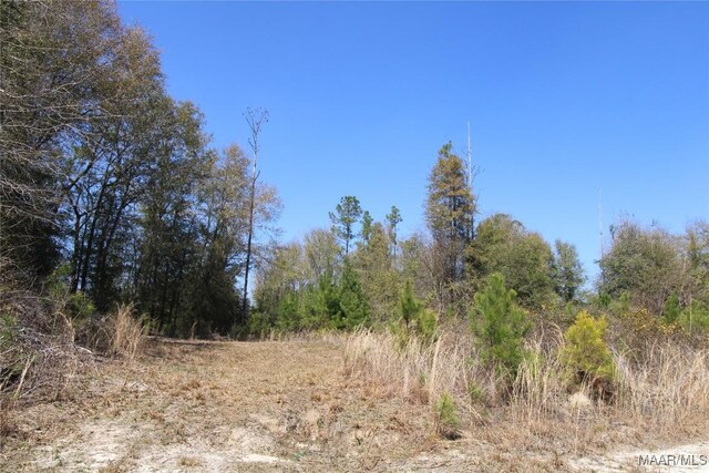 0 Toles Rd Unit Parcel 1, Grady, AL 36036 - photo 2