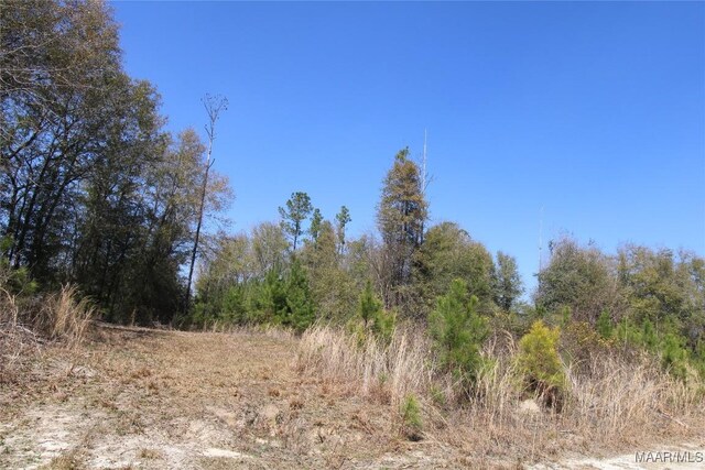 0 Toles Rd Unit Parcel 1, Grady, AL 36036 - photo 3
