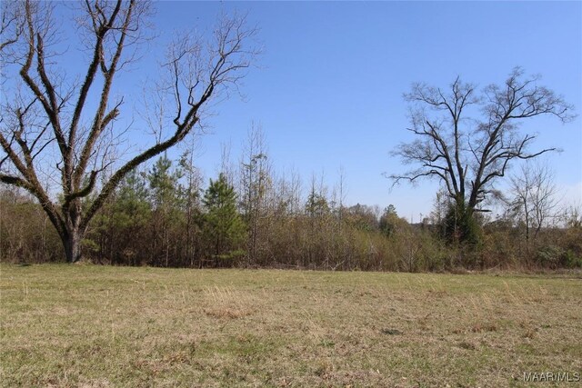 0 Toles Rd Unit Parcel 1, Grady, AL 36036 - photo 4