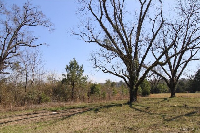 0 Toles Rd Unit Parcel 1, Grady, AL 36036 - photo 5