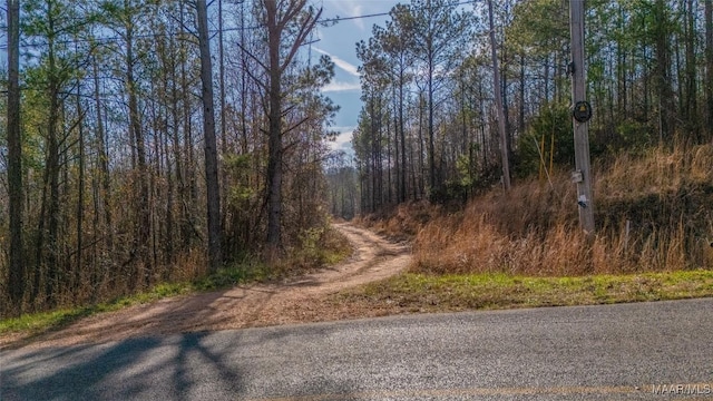 0 County Road 20th Rd E, Marbury, AL 36051 - photo 2