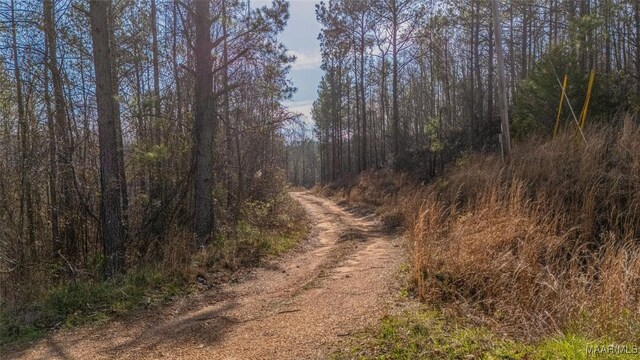 0 County Road 20th Rd E, Marbury, AL 36051 - photo 3
