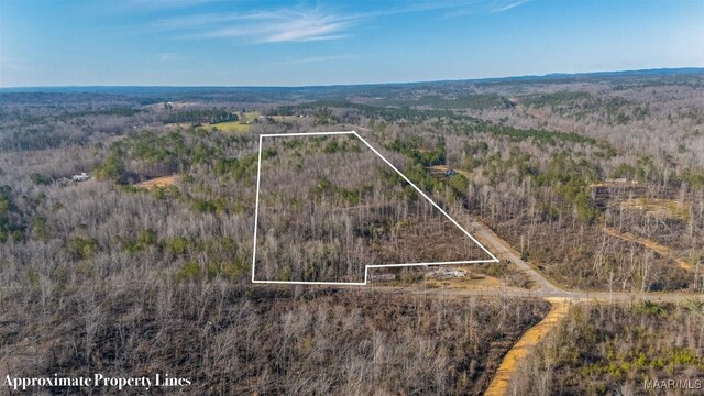 0 County Road 20th Rd E, Marbury, AL 36051 - photo 4