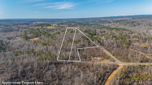 0 County Road 20th Rd E, Marbury, AL 36051 - photo 5
